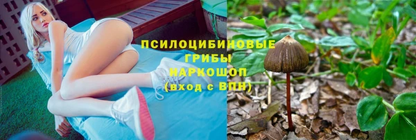 ГАЛЛЮЦИНОГЕННЫЕ ГРИБЫ Балахна