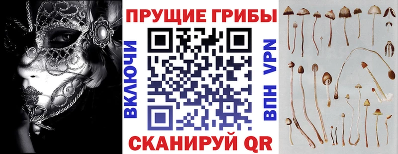 Галлюциногенные грибы прущие грибы Новоуральск